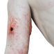 Манекен навчальний повнорозмірний Rescue Ready ман.39 фото 5